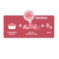 Versele-Laga Nutribird B18 Cria 3 Kg para Periquitos y Agapornis - Alimento Completo para Aves - details 0