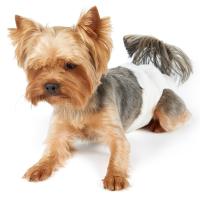 Pañales para Perros desechables hombre perro pañales Super absorbente pañales para los perros y los gatos perro pañales talla 〔S M L XL 〕 - details 0