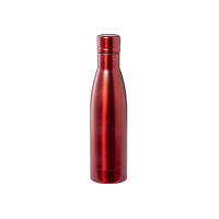 Botella Térmica 500 Ml Acero Inoxidable Siglo21publicidad - details 5