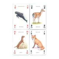 Heritage Playing Card Co Heritage Baraja de Poker Didáctica Inglés Gatos Perros Caballos Animales Mariposas Pájaros Fósiles Especias Peces Frutas Hierbas Faros Árboles Gemas Minerales Delfines Ballenas Setas Insectos Arañas Indios Rosas Salvajes Fauna - details 22