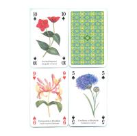 Heritage Playing Card Co Heritage Baraja de Poker Didáctica Inglés Gatos Perros Caballos Animales Mariposas Pájaros Fósiles Especias Peces Frutas Hierbas Faros Árboles Gemas Minerales Delfines Ballenas Setas Insectos Arañas Indios Rosas Salvajes Fauna - details 71