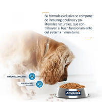 Advance Adult Mini, 700gr, 1,5kg, 3kg, 7kg, Comida para Perros Pequeño, Pollo y Arroz - details 0