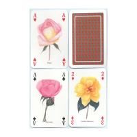 Heritage Playing Card Co Heritage Baraja de Poker Didáctica Inglés Gatos Perros Caballos Animales Mariposas Pájaros Fósiles Especias Peces Frutas Hierbas Faros Árboles Gemas Minerales Delfines Ballenas Setas Insectos Arañas Indios Rosas Salvajes Fauna - details 91