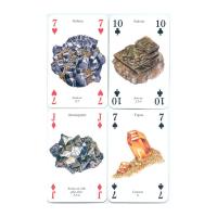 Heritage Playing Card Co Heritage Baraja de Poker Didáctica Inglés Gatos Perros Caballos Animales Mariposas Pájaros Fósiles Especias Peces Frutas Hierbas Faros Árboles Gemas Minerales Delfines Ballenas Setas Insectos Arañas Indios Rosas Salvajes Fauna - details 56