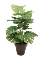STARLEY-PLANTA ARTIFICIAL TARO 70 CM,ATENCION HAY VARIACION DE MACETA - details 1