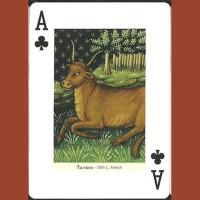 Piatnik Baraja de poker de 54 cartas Zodiaco Signo zodiacales Arte Capricornio Leo Aries Virgo Piscis Tauro Géminis Acuario Juego mesa Jugar Adultos Colección Coleccionable Poquer - details 1