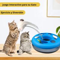 COTTECOTA-Circuito de juego para gato 7 x 25 azul. Circuito de diversión para Gatos. Pista de juego Mascotas. Juguete para mascotas. Entretenimiento para gatos. 51087 - details 1
