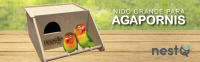 Nido nestQ para Agapornis Iseparables, Periquitos Grande con Anillas de 2024 y Viruta para la Cama, Casita de Cría de Madera Interior para Pájaros, con Enganches para la Jaulas de Aves, 23cm x 27cm x 14cm - details 0