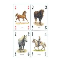 Heritage Playing Card Co Heritage Baraja de Poker Didáctica Inglés Gatos Perros Caballos Animales Mariposas Pájaros Fósiles Especias Peces Frutas Hierbas Faros Árboles Gemas Minerales Delfines Ballenas Setas Insectos Arañas Indios Rosas Salvajes Fauna - details 12