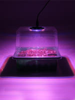 5 invernaderos con Luz Ultravioleta, Cajas de cultivo de invernadero, semilleros 5 bandejas, 60 compartimentos, mini enrejado, para plantas, con luz UV controlada por temporizador y ventilación cubierta, tipo C hembra - details 0