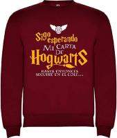 AKARURE Sudadera Niño/niña Inspirada en el Mundo Mágico - Esperando Carta Hogwarts - details 0