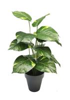 STARLEY-PLANTA ARTIFICIAL TARO 70 CM,ATENCION HAY VARIACION DE MACETA - details 3