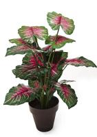 STARLEY-PLANTA ARTIFICIAL TARO 70 CM,ATENCION HAY VARIACION DE MACETA - details 0