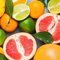 Sogo Exprimidor eléctrico de zumo de naranja y limón con tapa, automático, potente y silencioso, jarra 0,7 Litros (SS-5222) - details 2