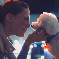 Colgante luminoso LED para perro mascota gato hueso con iluminación para collar paseos nocturnos - details 3