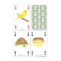 Heritage Playing Card Co Heritage Baraja de Poker Didáctica Inglés Gatos Perros Caballos Animales Mariposas Pájaros Fósiles Especias Peces Frutas Hierbas Faros Árboles Gemas Minerales Delfines Ballenas Setas Insectos Arañas Indios Rosas Salvajes Fauna - details 18
