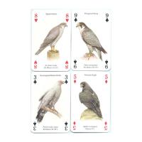 Heritage Playing Card Co Heritage Baraja de Poker Didáctica Inglés Gatos Perros Caballos Animales Mariposas Pájaros Fósiles Especias Peces Frutas Hierbas Faros Árboles Gemas Minerales Delfines Ballenas Setas Insectos Arañas Indios Rosas Salvajes Fauna - details 30