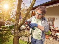 Bosch Home and Garden EasyCut 12, Sierra a Batería con Tecnología NanoBlade, 12V, Hoja de Sierra, 1 Batería 12V 2.0Ah, Cargador y Maletín, Color Negro, Verde y Rojo - details 4