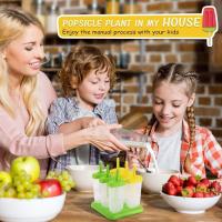Moldes Para Polos Helados, 6 Piezas/Juego Helados Molde Hacer Formas Para Helados, Incluye Embudo De Silicona Y Cepillo De Limpieza, Heladera Moldes De Postre Hielo - details 8