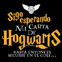 AKARURE Sudadera Niño/niña Inspirada en el Mundo Mágico - Esperando Carta Hogwarts - details 1