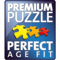 Ravensburger Puzle Challenge Pokemon 1000 piezas, 15166 - details 1