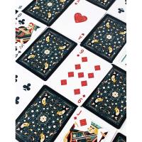Fournier Bicycle USPCC Baraja poker Aviary Deja volar los pájaros Magia Magos Trucos Adultos Acabado especial Verde azul Espectáculo Cardistry Poquer Playa Piscina Camping Noche de fiesta Cartomagia Aprender Fácil Colección Coleccionable - details 4