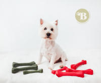 Bimordiscos Pet Products - Juguete Indestructible para Perros -  ETERNAL BONE - Huesos para Perros - Mordedor para Perros - Juguetes para Perros - Huesos para Perros - Fabricado en España - details 0