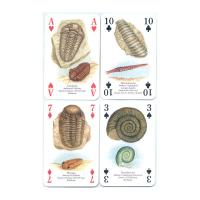 Heritage Playing Card Co Heritage Baraja de Poker Didáctica Inglés Gatos Perros Caballos Animales Mariposas Pájaros Fósiles Especias Peces Frutas Hierbas Faros Árboles Gemas Minerales Delfines Ballenas Setas Insectos Arañas Indios Rosas Salvajes Fauna - details 42