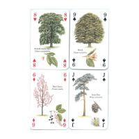 Heritage Playing Card Co Heritage Baraja de Poker Didáctica Inglés Gatos Perros Caballos Animales Mariposas Pájaros Fósiles Especias Peces Frutas Hierbas Faros Árboles Gemas Minerales Delfines Ballenas Setas Insectos Arañas Indios Rosas Salvajes Fauna - details 36