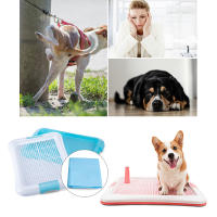 SMELL & SMILE Bandeja Sanitaria de Adiestramiento Inodoro Interior para Perros Aseo Mascotas Bandeja de Entrenamiento para Mascotas Orinal para Perros (M 49 x 35cm) - details 3