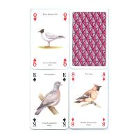 Heritage Playing Card Co Heritage Baraja de Poker Didáctica Inglés Gatos Perros Caballos Animales Mariposas Pájaros Fósiles Especias Peces Frutas Hierbas Faros Árboles Gemas Minerales Delfines Ballenas Setas Insectos Arañas Indios Rosas Salvajes Fauna - details 40