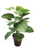 STARLEY-PLANTA ARTIFICIAL TARO 70 CM,ATENCION HAY VARIACION DE MACETA - details 2