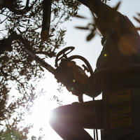 Motosierra CS 2511 TES /25 - details 6