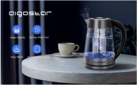 AIGOSTAR Hervidor de Agua, Vidrio de Borosilicato con Infusor de Té, 5 Niveles de Temperatura, Función Mantener Caliente, Iluminación LED, (2000W, 1.7L ) - details 0