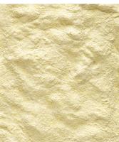 Papilla para Loros, Nutribird A19 Versele laga, Alimento para Críar a Mano Guacamayos, Loros grises, Loros electus, 800gr, 3kg - details 1