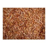COMIDA PARA TORTUGAS A GRANEL GAMMARUS GAMBAS SECAS 2500 ML-250GR - details 0