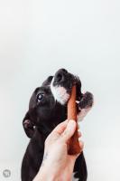 BIMORDISCOS Pet Products - Barritas para Perros - Snacks para Perros - Sticks Variados - details 0