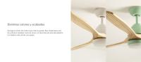 Create - Ventilador de Techo Silencioso con Motor DC y Aspas de Madera Natural - 6 Velocidades - WIND CUP - details 8