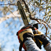 Motosierra CS 280 T /25 - details 4