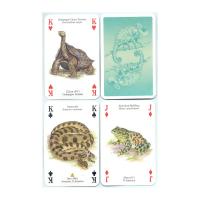 Heritage Playing Card Co Heritage Baraja de Poker Didáctica Inglés Gatos Perros Caballos Animales Mariposas Pájaros Fósiles Especias Peces Frutas Hierbas Faros Árboles Gemas Minerales Delfines Ballenas Setas Insectos Arañas Indios Rosas Salvajes Fauna - details 6