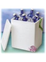 Nevera de Poliestireno.Ligera, eficiente y Resistente Que Puedes Llevarte a la Playa y al Campo.13L/21L/31L - details 9